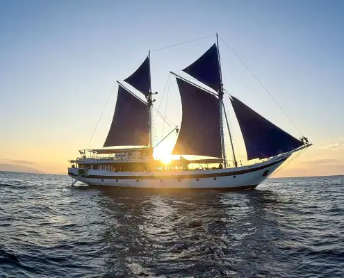 Ombak Putih pinisi ship with sunset background