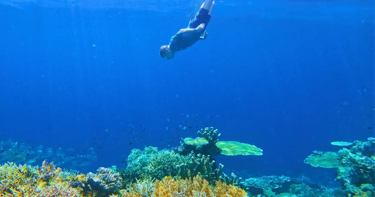 SeaTrek's guest snorkeling in Raja Ampat with vibrant coral reefs