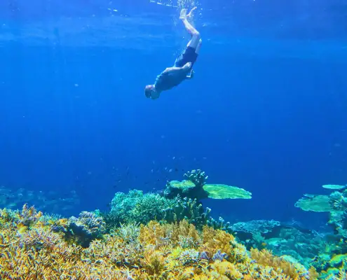SeaTrek's guest snorkeling in Raja Ampat with vibrant coral reefs