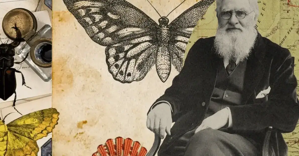 Alfred Russel Wallace and The Malay Archipelago