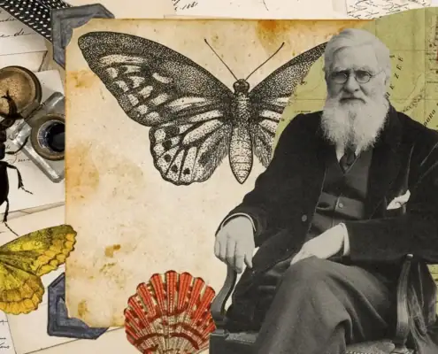 Alfred Russel Wallace and The Malay Archipelago