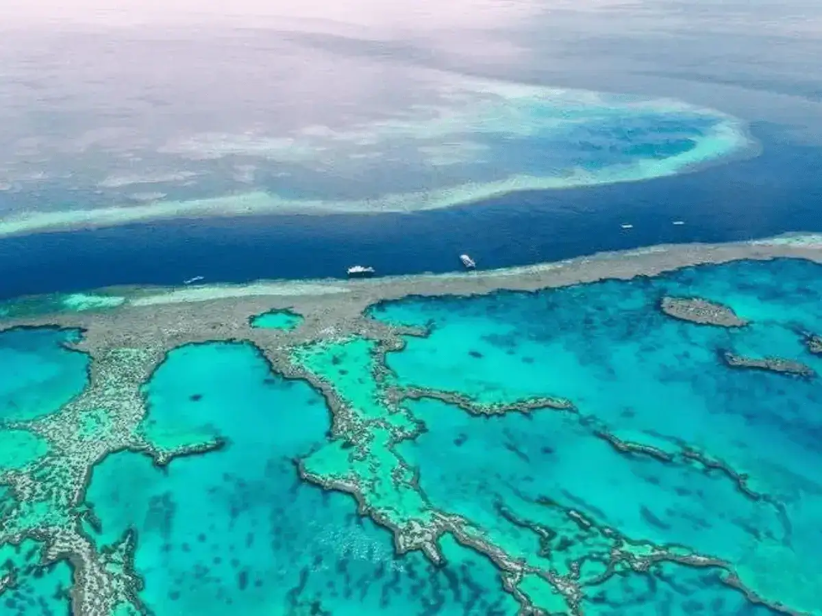 Image of Barrier Coral Reefs & Walls