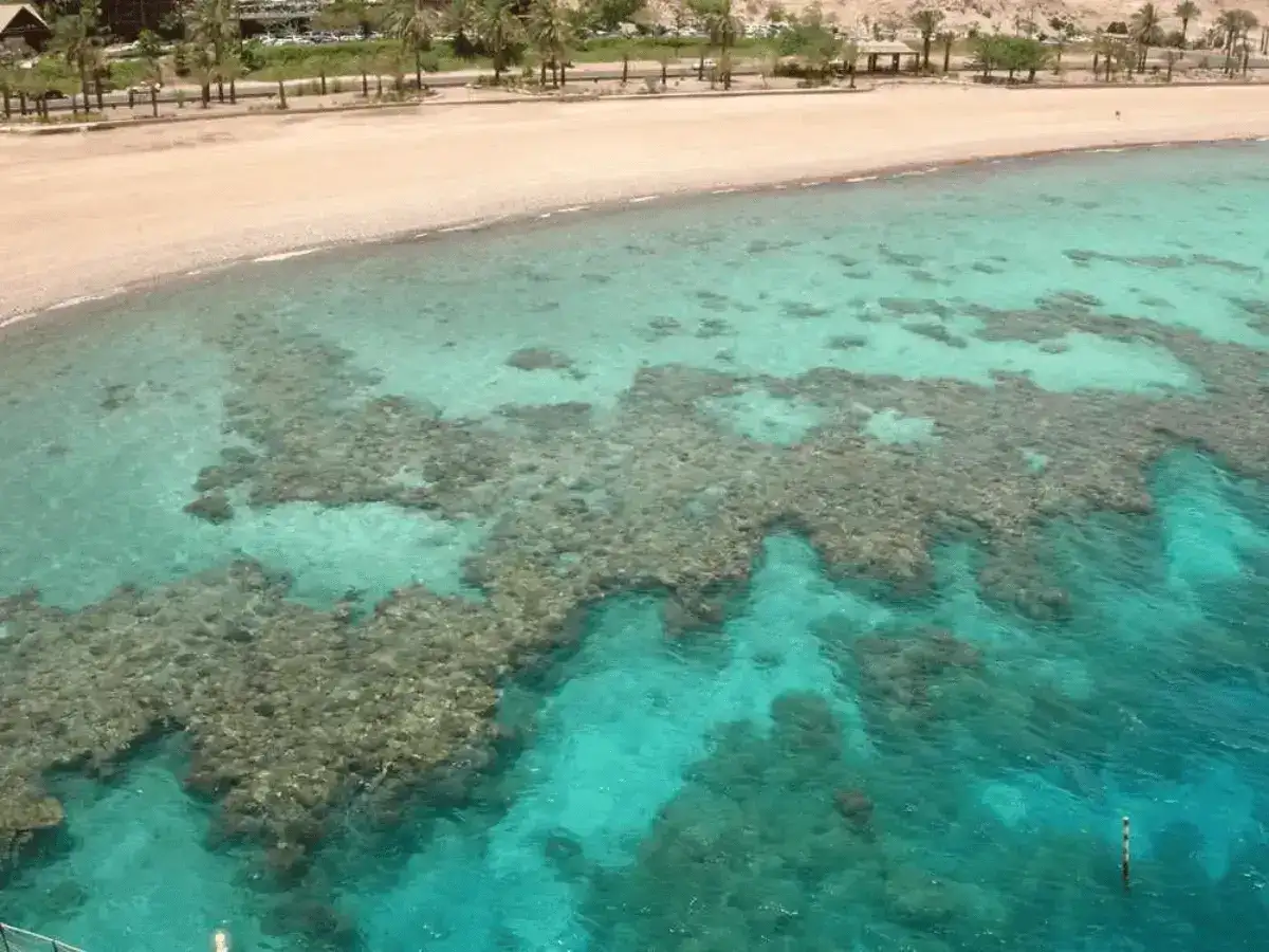 Image of a fringing coral reef