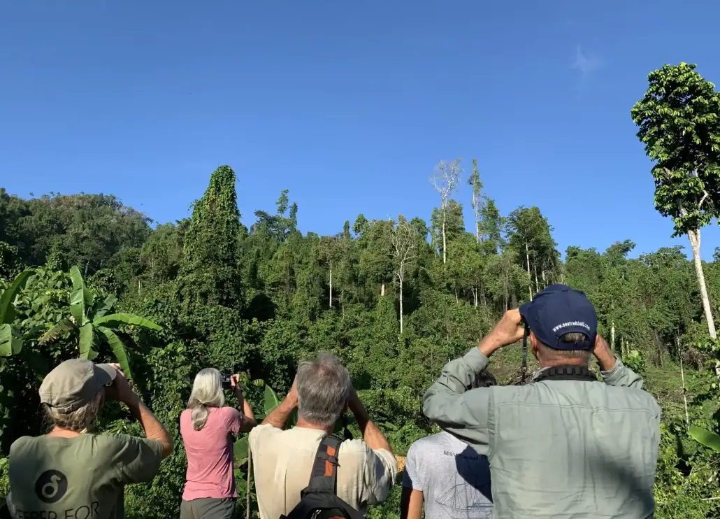 Birdwatching inside the forest