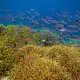 Coral and fish life