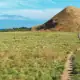 Kenawa Island, Sumbawa, Indonesia.