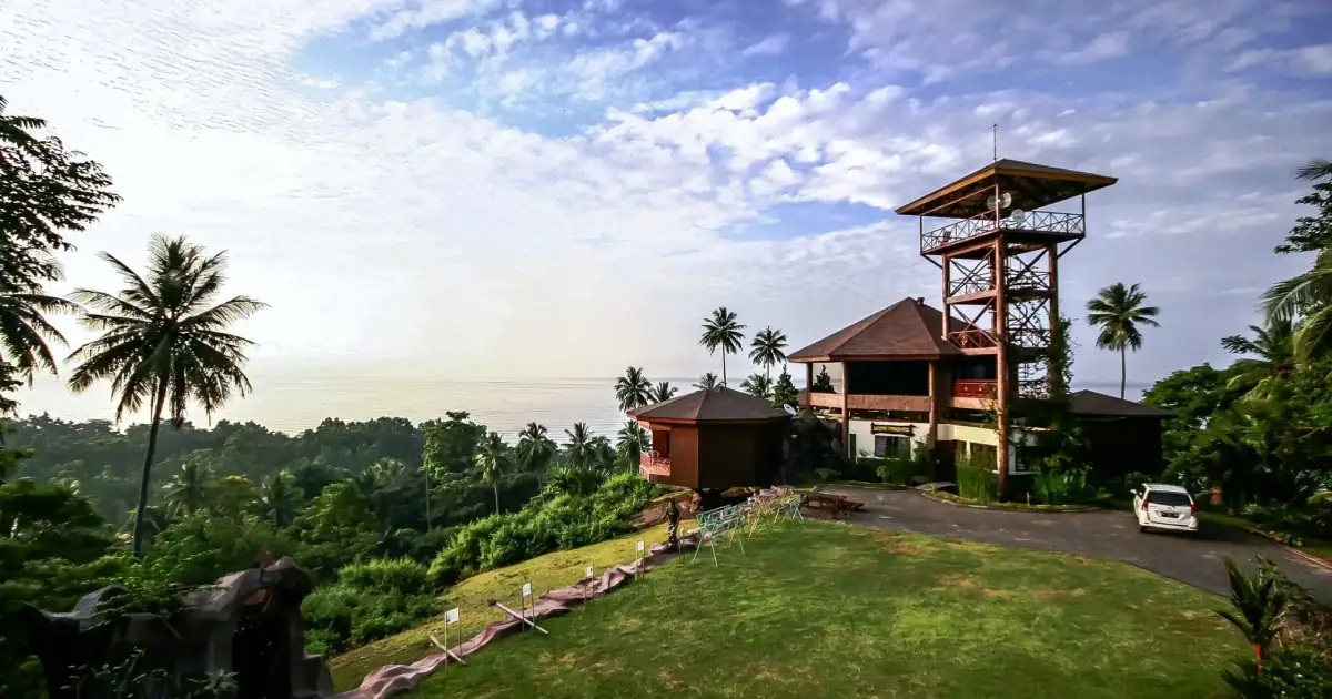 Tasikoki Wildlife Rescue