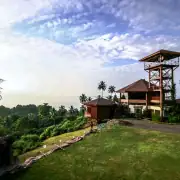 Tasikoki Wildlife Rescue