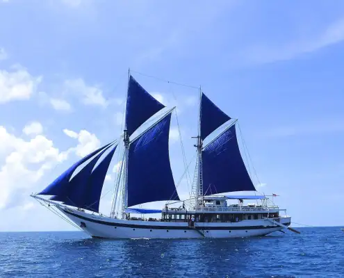 SeaTrek Ombak Putih full seven sails up.