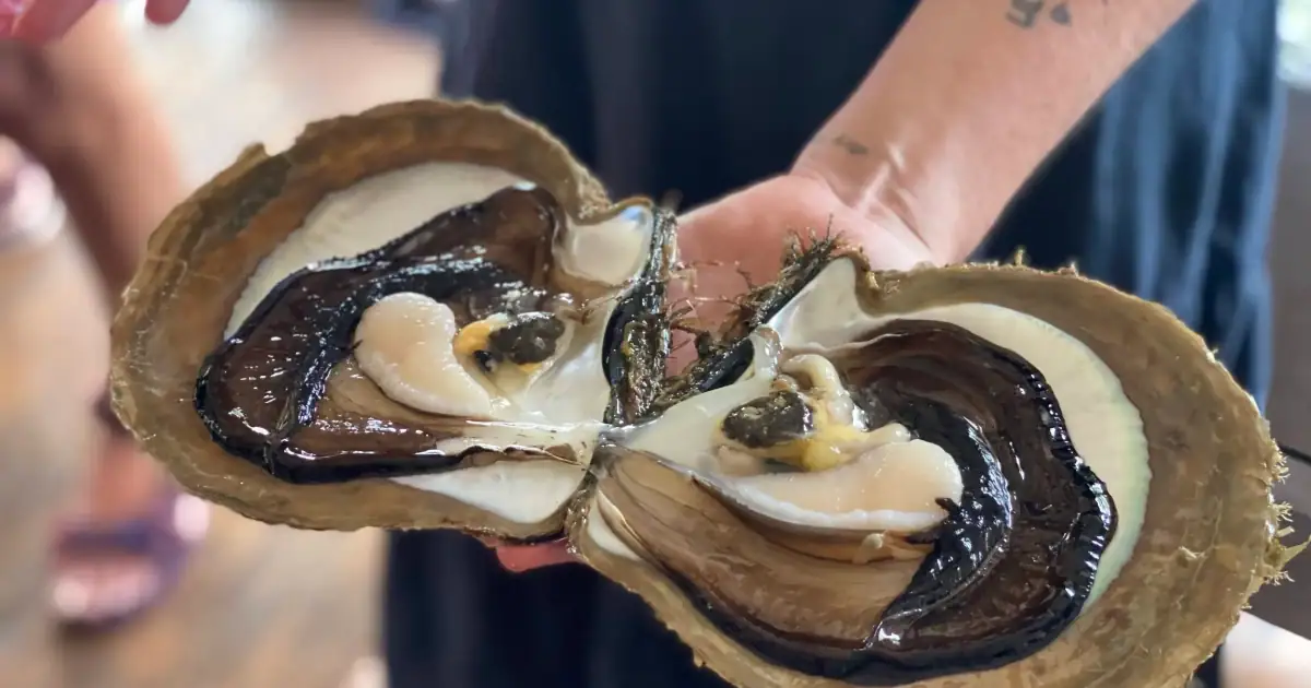 Pearl Culture in Raja Ampat
