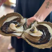 Pearl Culture in Raja Ampat