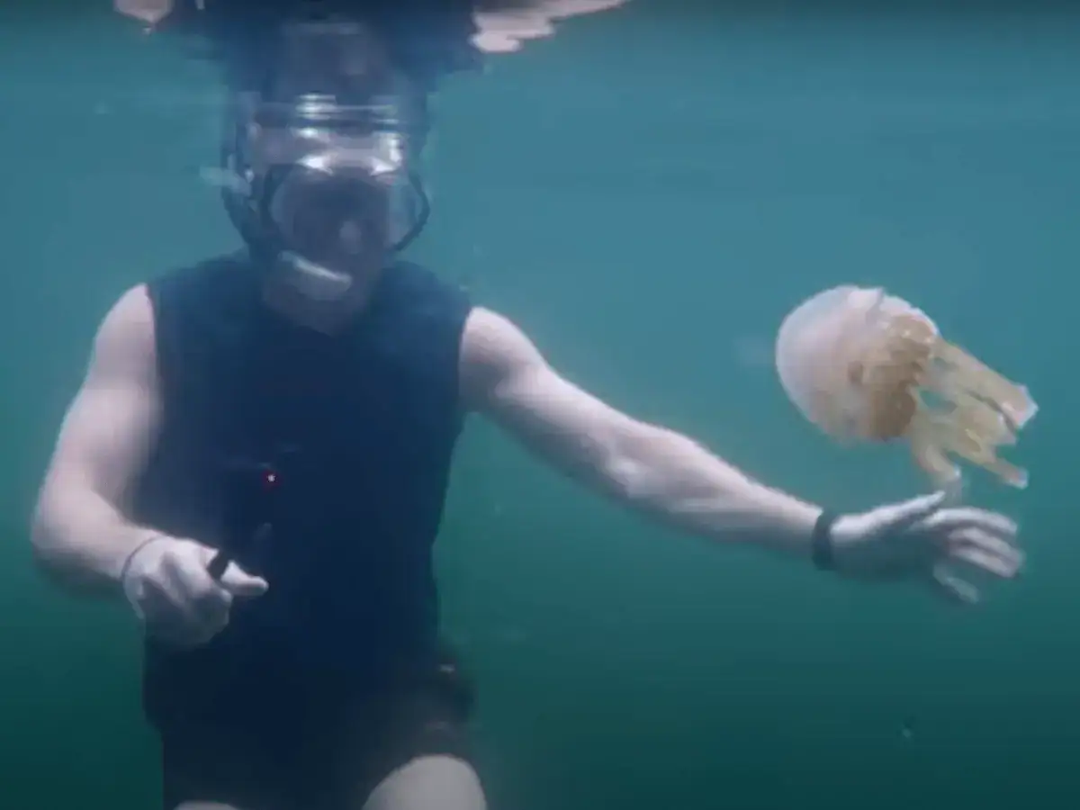 Raw Travel Host, Rob Rose swimming with Jellyfish