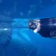 Swimming with two giant whale sharks