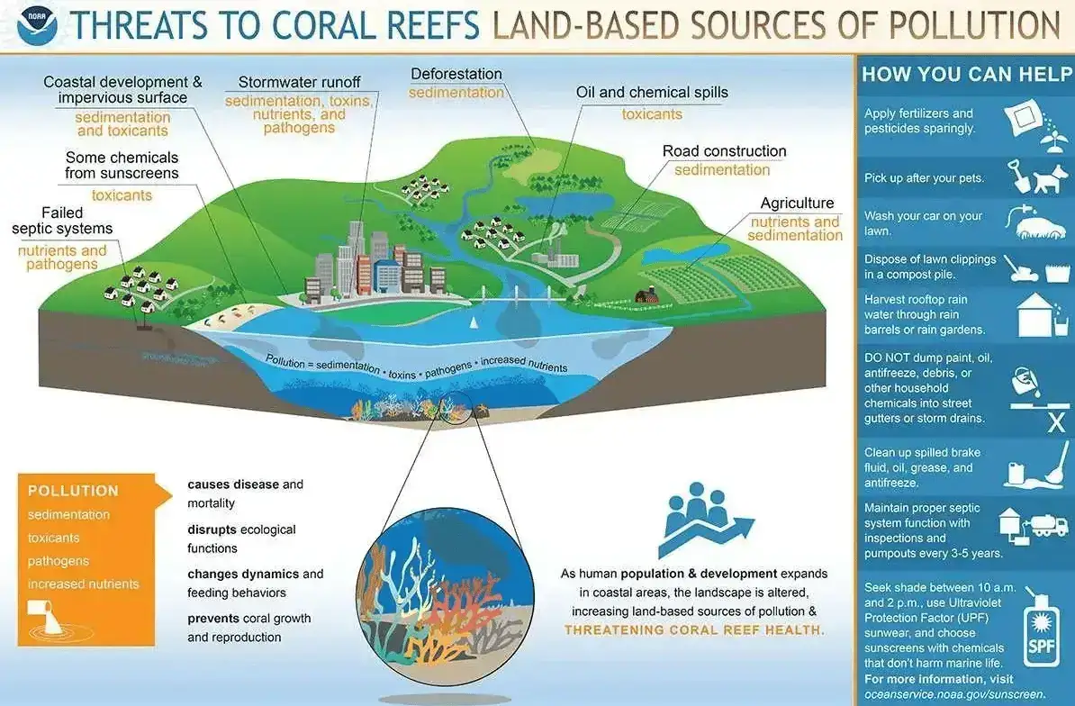Threats to Coral Reefs infographics