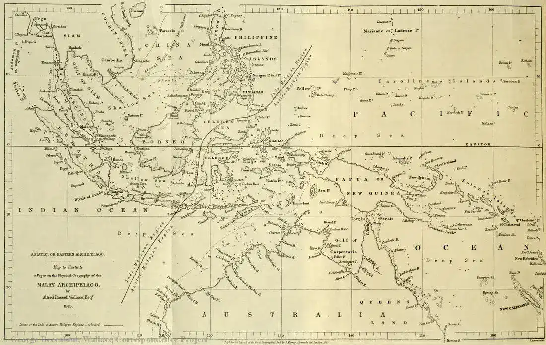 Wallace Line Map