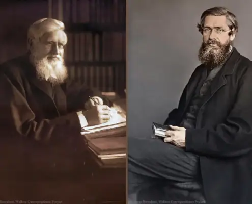 Young and Old Alfred Russel Wallace photograph