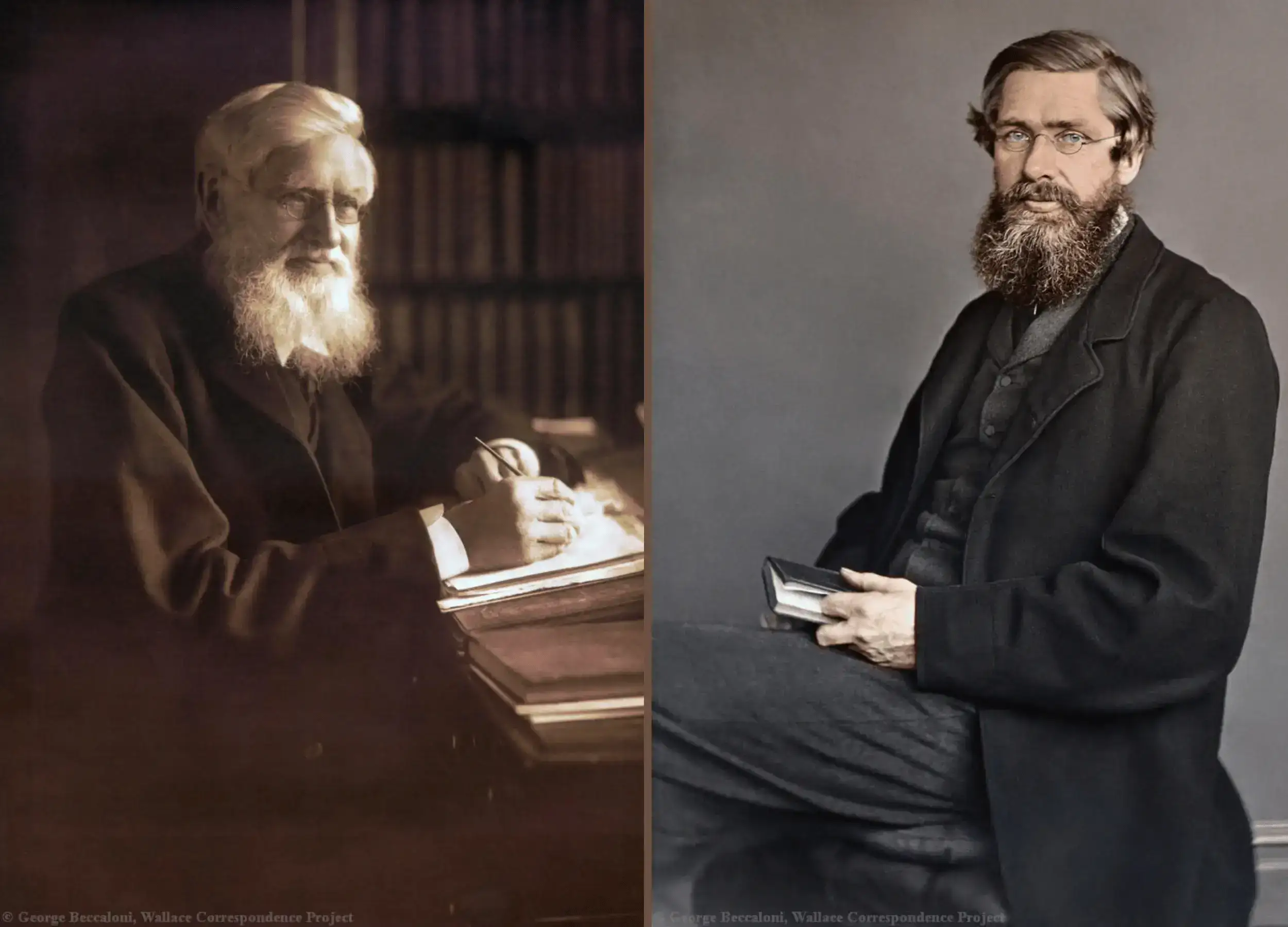 Young and Old Alfred Russel Wallace photograph