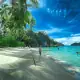 SeaTrek guest enjoy beach time