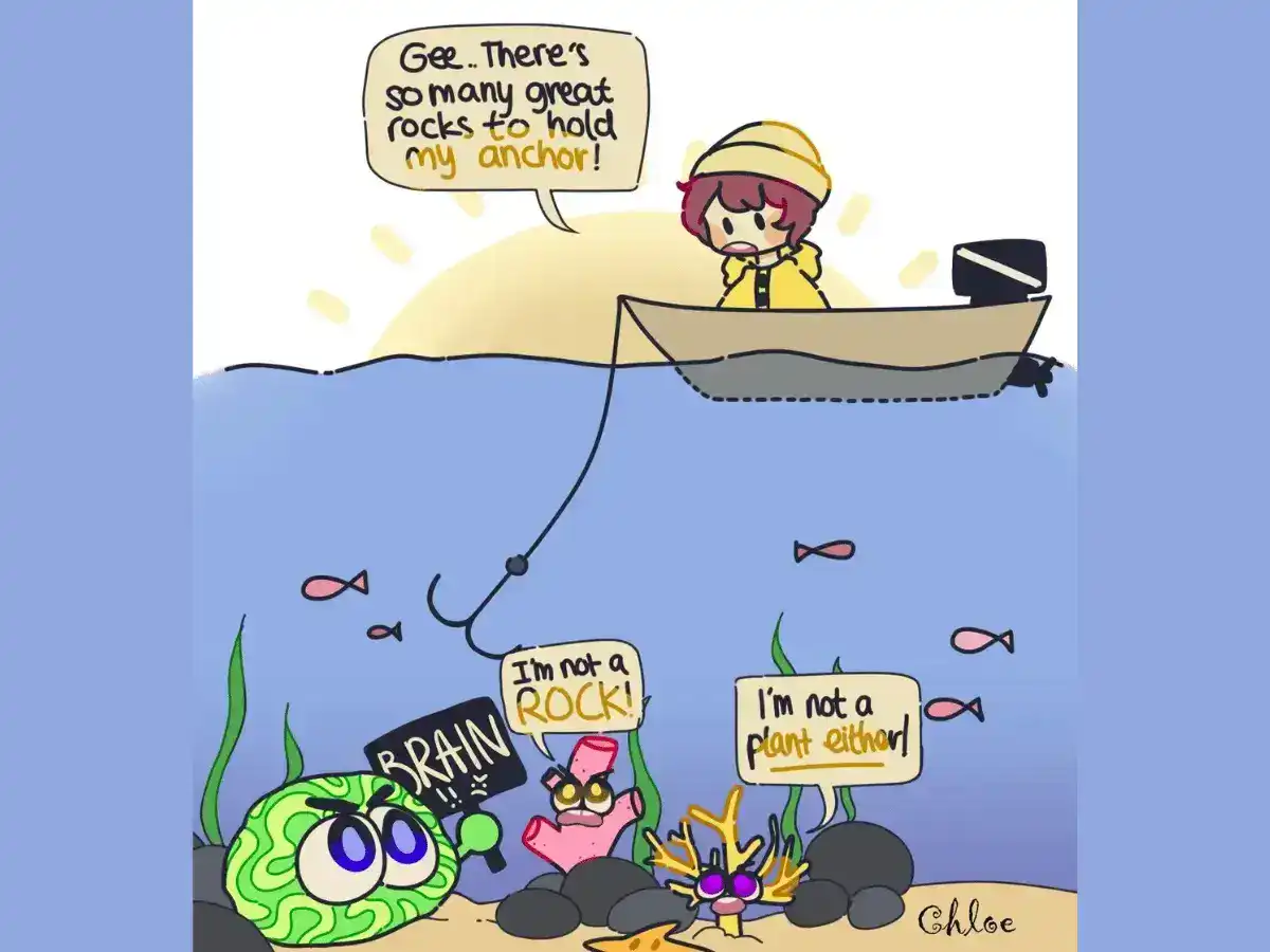 coral facts illustration