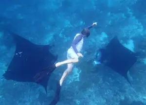 SeaTrek guest swimming with manta rays
