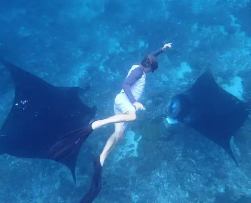 SeaTrek guest swimming with manta rays