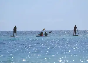 SeaTrek guests kayaking and paddleboarding