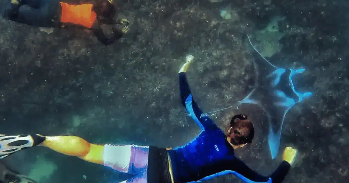 SeaTrek guests swimming with a manta named Ombak Putih