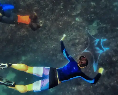 SeaTrek guests swimming with a manta named Ombak Putih