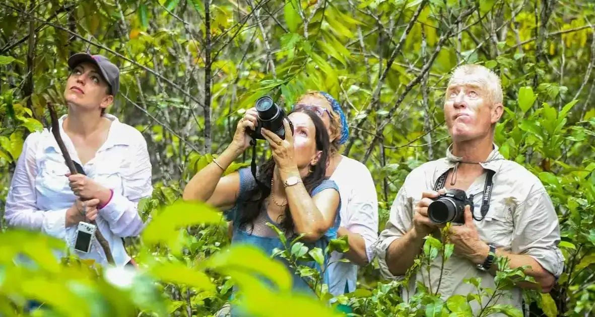 SeaTrek guests watching the birds of paradise