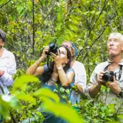 SeaTrek guests watching the birds of paradise