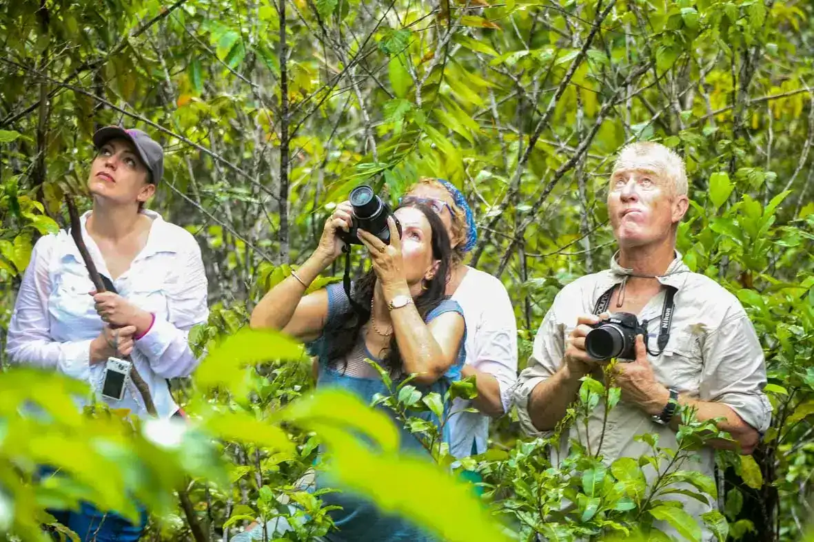 SeaTrek guests watching the birds of paradise