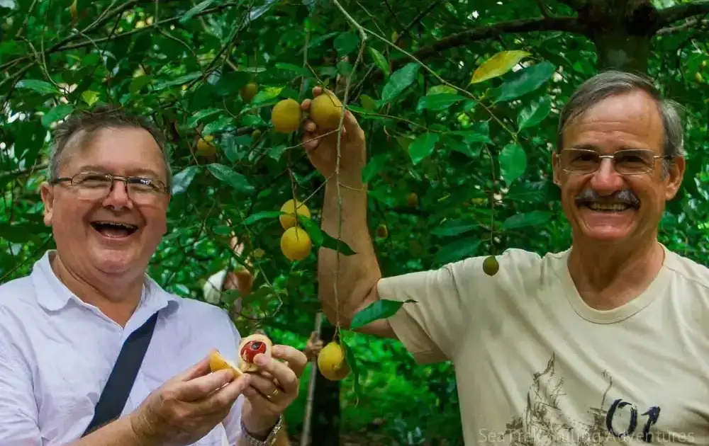 SeaTrek guests with the nutmeg