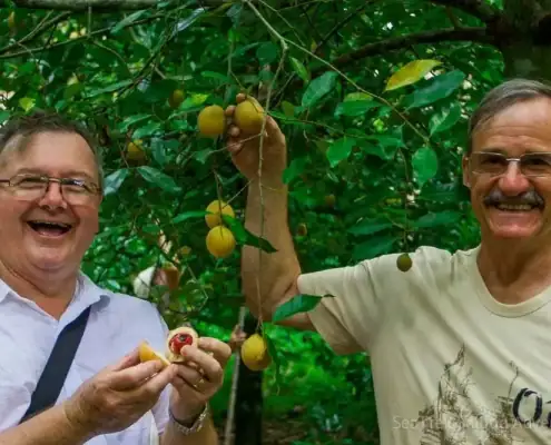 SeaTrek guests with the nutmeg