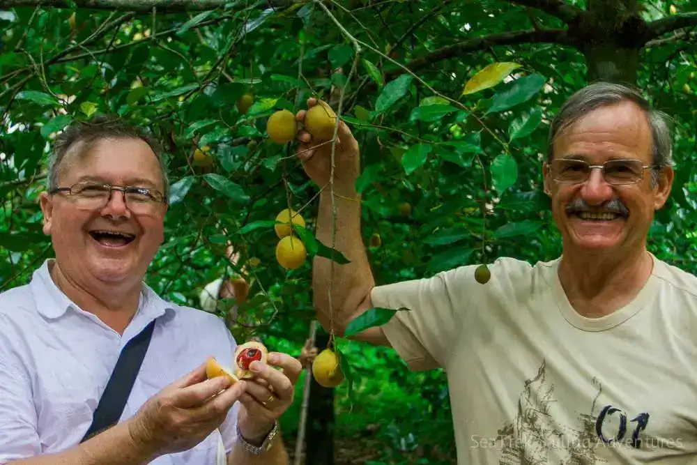 SeaTrek guests with the nutmeg