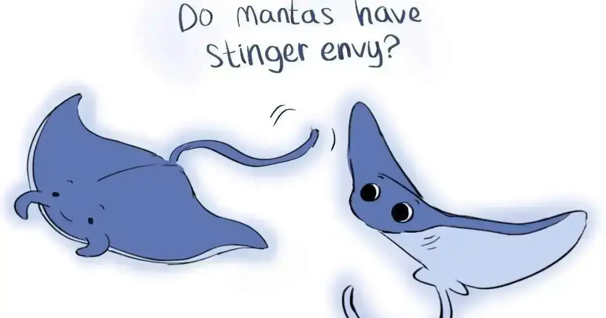 manta stinger illustration