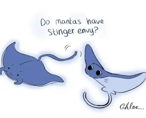 manta stinger illustration