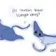 manta stinger illustration