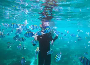 SeaTrek's guest snorkeling in Yenbuba Raja Ampat with schools of fish