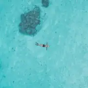 Enjoy snorkeling on total detox holiday