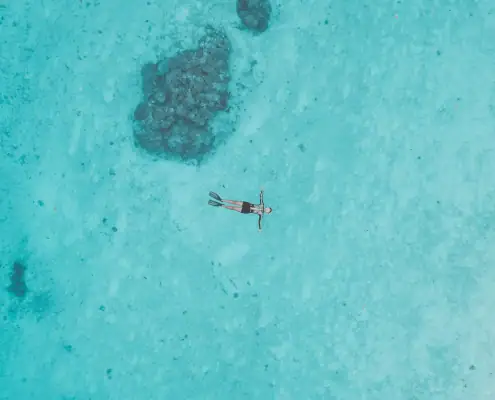Enjoy snorkeling on total detox holiday