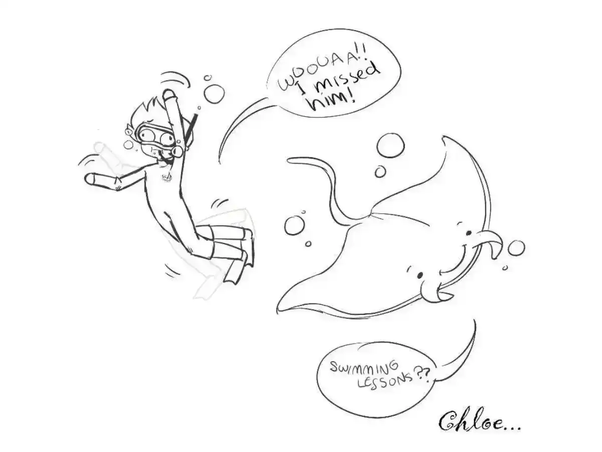 Swimming with manta cartoon