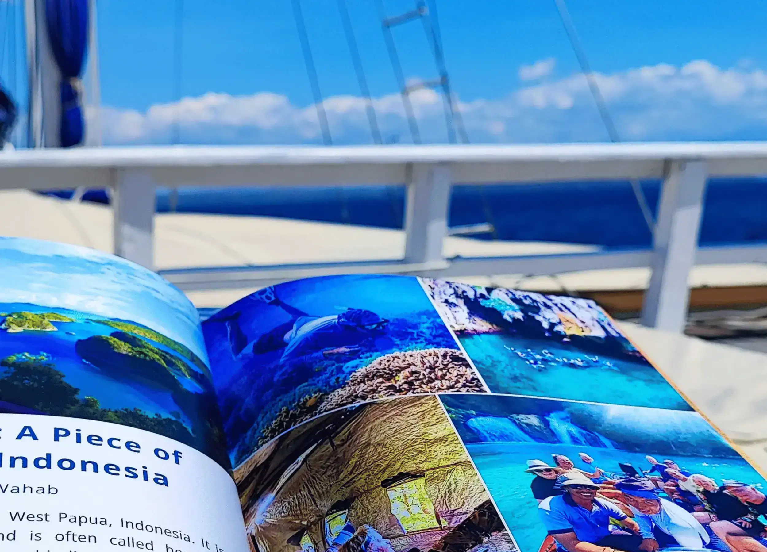 SeaTrekker Magazine content