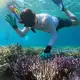 Image of the hard coral rack at our Coral and Fish Restoration Project (thanks to the Ocean Gardener team)