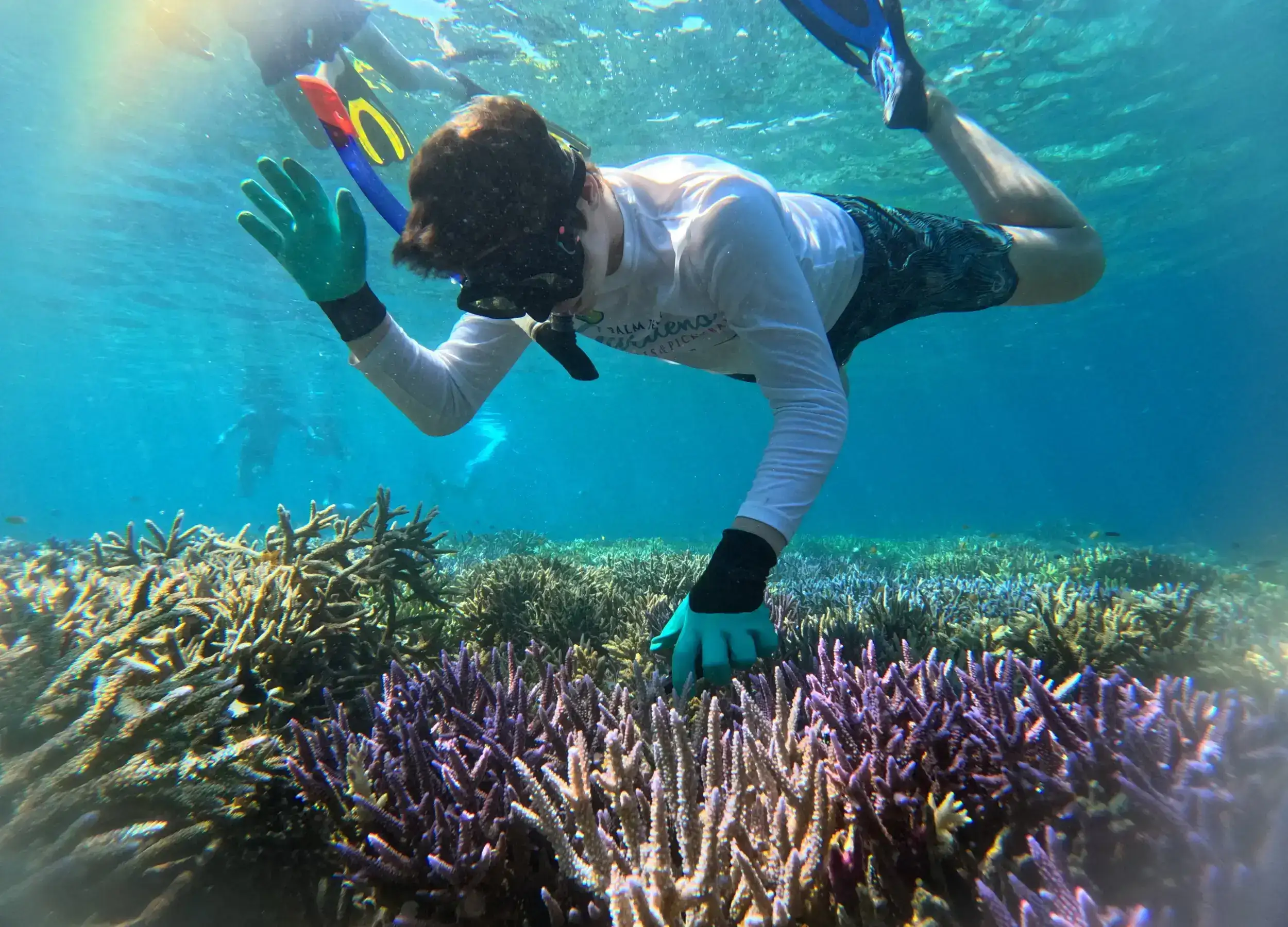 Image of the hard coral rack at our Coral and Fish Restoration Project (thanks to the Ocean Gardener team)