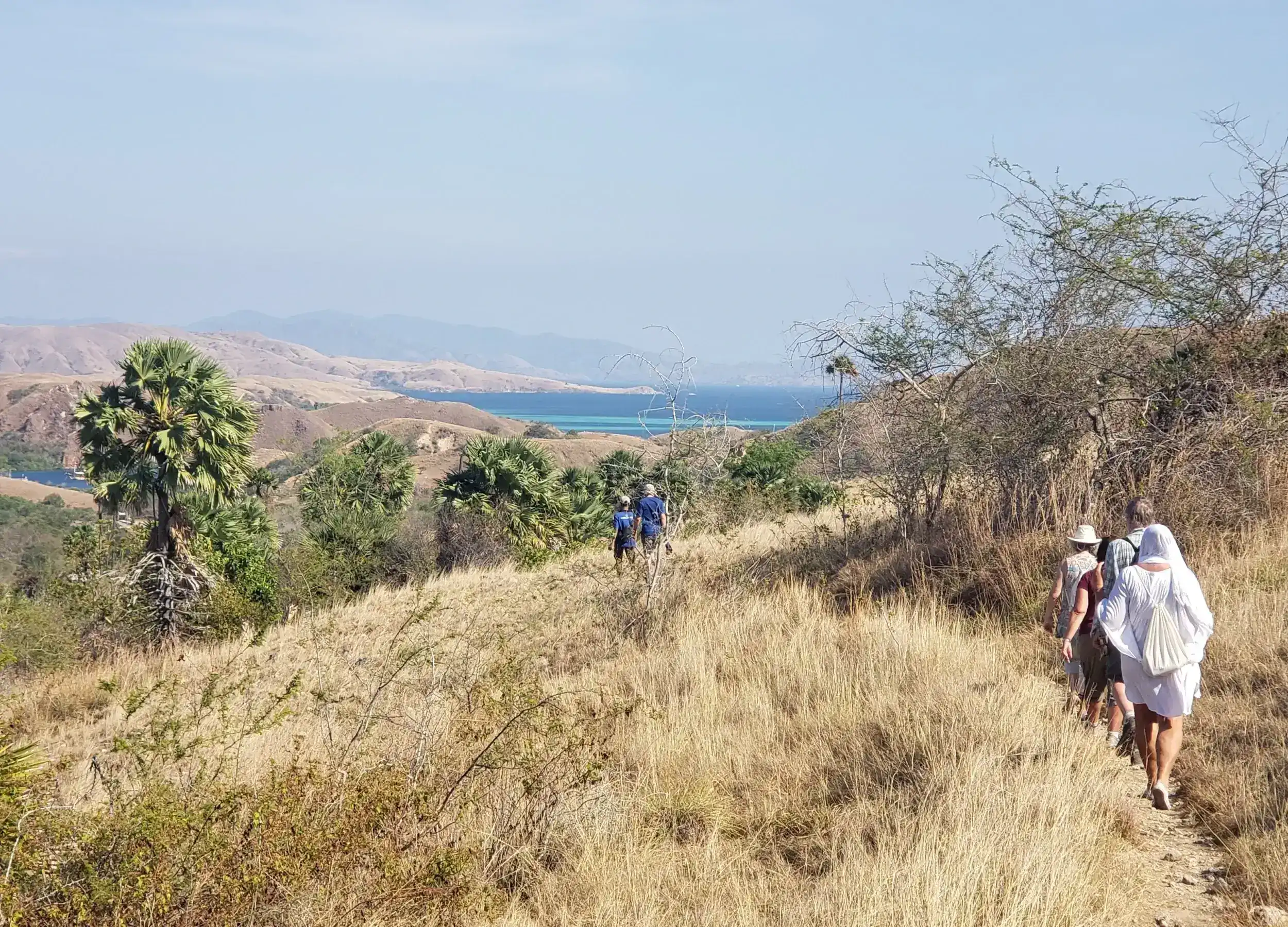 SeaTrek's guest trekking to savanna in Komodo National Park