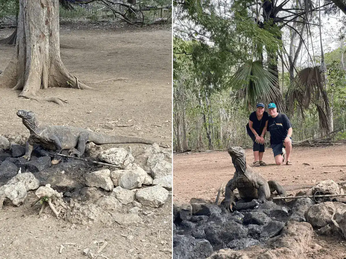 Joanne and Bruce meeting the Komodo Dragon