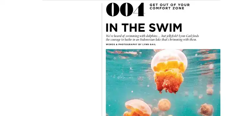 SeaTrek in the press - Swimming with Jellyfish by Lynn Gail