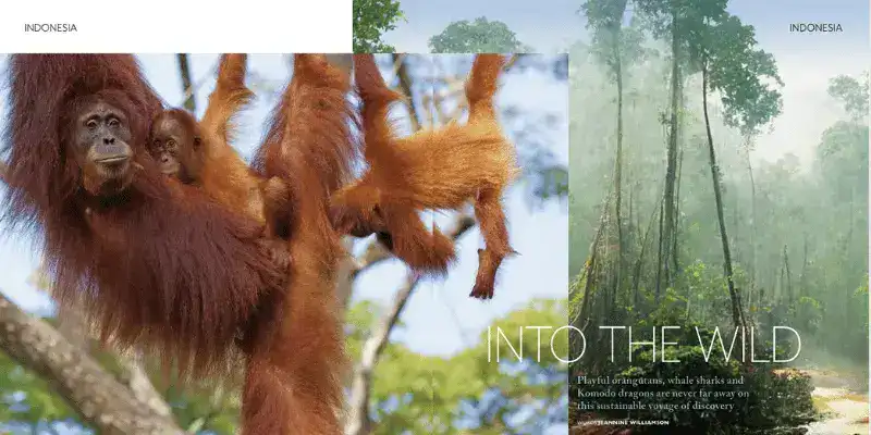 SeaTrek in the press - Into the Wild in Cruise and Travel