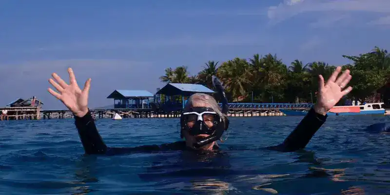 SeaTrek in the press - Snorkeling by Brett Atkinson