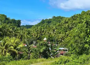 Dodinga landscape